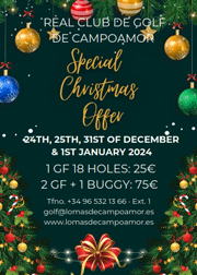 Special Christmas offer 2023