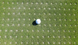 HOLLOW TINING GOLF CAMPOAMOR August 2017